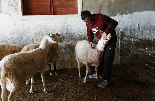ΔΥΤΙΚΗ ΟΧΘΗ ΕΠΟΙΚΟΙ ΠΡΟΒΑΤΑ ΧΗΜΙΚΑ