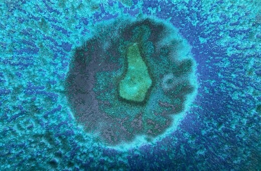 Επιστήμονες έφτιαξαν αντίγραφο του ενδομητρίου και εμφύτευσαν έμβρυα σε πρώιμο στάδιο