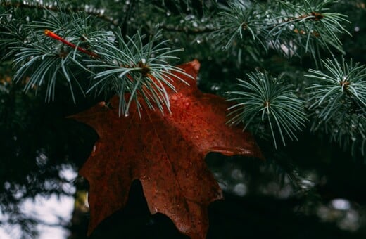 ΚΑΚΟΚΑΙΡΙΑ ΧΡΙΣΤΟΥΓΕΝΝΑ ΕΚΤΑΚΤΟ ΚΑΙΡΟΣ