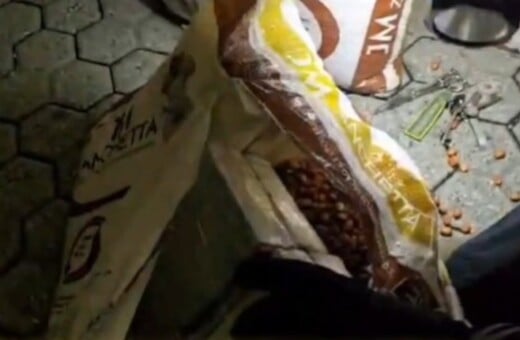 ΚΟΚΑΙΝΗ ΦΙΣΤΙΚΙΑ ΙΤΑΛΙΑ