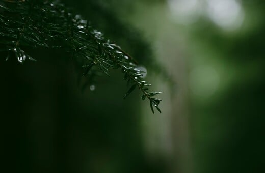 ΚΑΙΡΟΣ ΚΑΚΟΚΑΙΡΙΑ ΕΚΤΑΚΤΟ ΕΜΥ