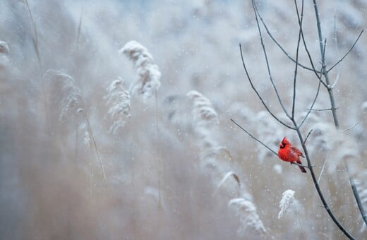 ΚΑΙΡΟΣ ΠΡΩΤΟΧΡΟΝΙΑ ΑΛΛΑΖΕΙ