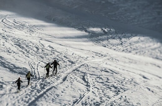 ΝΕΚΡΟΙ ΟΡΕΙΒΑΤΕΣ ΒΑΡΔΟΥΣΙΑ ΠΟΙΟΙ ΕΙΝΑΙ