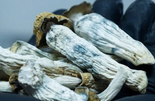 ΨΥΧΕΔΕΛΙΚΑ ΜΑΝΙΤΑΡΙΑ ΜΑΓΙΚΑ ΠΩΣ ΔΡΟΥΝ