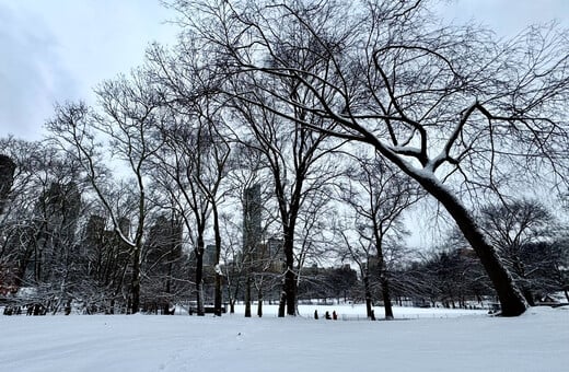 Σφοδρές χιονοπτώσεις στη Νέα Υόρκη: Χάος στις μετακινήσεις και τα αεροδρόμια