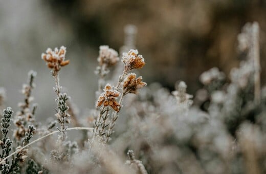 ΚΑΙΡΟΣ ΣΗΜΕΡΑ ΧΙΟΝΙΑ ΚΡΥΟ 