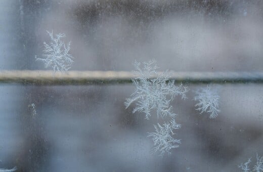 Καιρός - Τσατραφύλλιας: Προ των πυλών σκανδιναβικό ψύχος την Πρωτοχρονιά