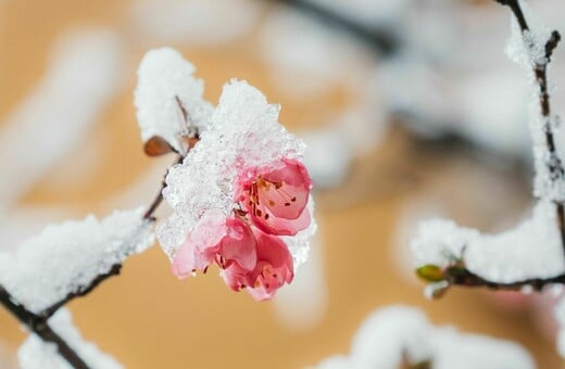 Καιρός: Υπό το μηδέν οι θερμοκρασίες στην Αττική παραμονή και ανήμερα Πρωτοχρονιάς