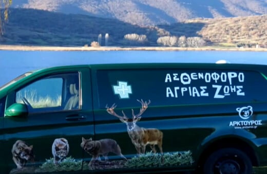 ΑΡΚΤΟΥΡΟς ΑΣΘΕΝΟΦΟΡΟ