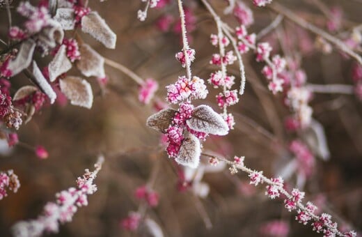ΚΑΙΡΟΣ ΚΡΥΟ ΣΑΒΒΑΤΟ