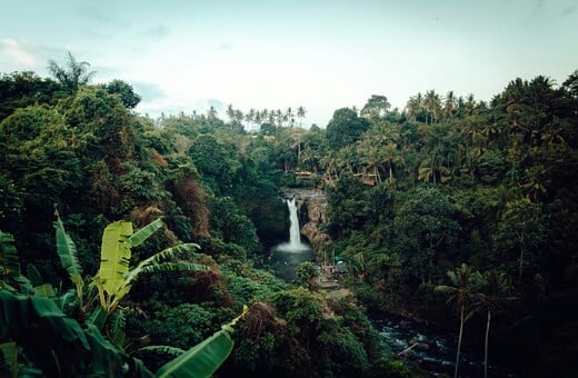 ΑΜΑΖΟΝΙΟΣ ΥΠΟΤΡΟΠΙΚΟ ΚΛΙΜΑ