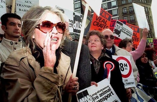 ΜΠΡΙΖΙΤ ΜΠΑΡΝΤΟ ΚΗΔΕΙΑ ΓΑΛΛΙΑ