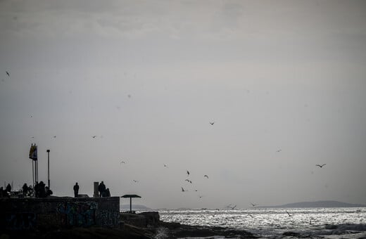 ΘΕΟΦΑΝΕΙΑ ΣΤΑΥΡΟΣ ΙΕΡΕΑΣ ΚΑΛΑΜΙ ΨΑΡΕΜΑΤΟΣ