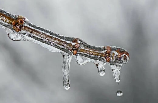 ΚΑΙΡΟΣ ΚΑΛΛΙΑΝΟΣ ΧΙΟΝΙΑ