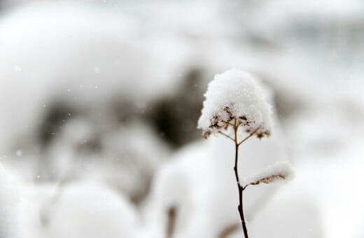 Καιρός - Τσατραφύλλιας: Ψυχρή εισβολή με θυελλώδεις ανέμους, καταιγίδες και χιόνια σήμερα στη χώρα