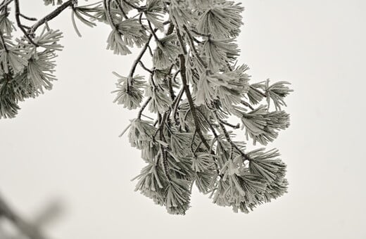 ΚΑΙΡΟΣ ΧΙΟΝΙΑ ΑΤΤΙΚΗ ΨΥΧΡΗ ΕΙΣΒΟΛΗ