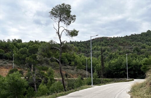 CHECK Σπέτσες: το χρονικό ενός αμφιλεγόμενου έργου/ Σπέτσες: Οδική ασφάλεια ή αλλοίωση τοπίου;