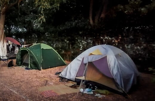 ΦΟΙΝΙΚΟΥΝΤΑ ΔΟΛΟΦΟΝΙΑ ΑΠΟΛΟΓΙΑ