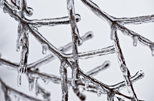 Καιρός - Τσατραφύλλιας: «Κλείδωσε τετραήμερο Ουκρανικό ψύχος»