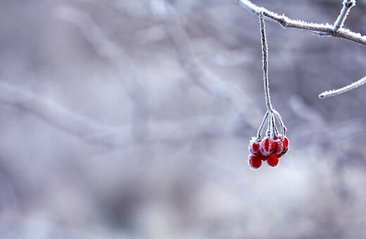 Καιρός: Θυελλώδης βοριάς από τη Μαύρη Θάλασσα φέρνει ψύχος και χιόνια σήμερα στη χώρα