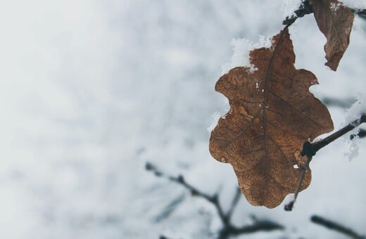 ΚΑΙΡΟΣ ΨΥΧΟΣ ΚΡΥΟ ΚΟΛΥΔΑΣ ΑΤΤΙΚΗ