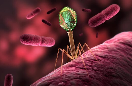 ΔΙΑΣΤΗΜΑ ΙΟΙ