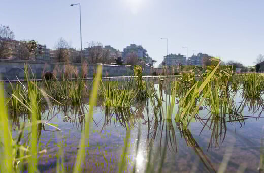 Παραδόθηκε ο αναπλασμένος Ιαπωνικός Κήπος του Νερού στη Νέα Παραλία Θεσσαλονίκης