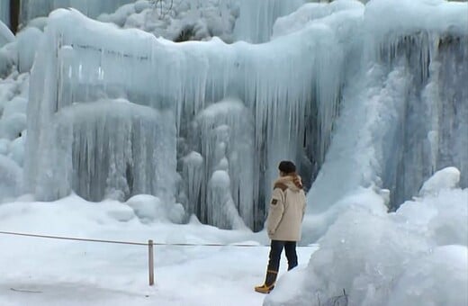 ΙΑΠΩΝΙΑ ΔΑΣΟΣ
