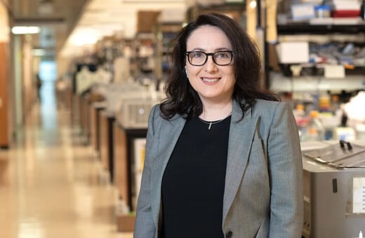 ΚΑΤΕΡΙΝΑ ΑΚΑΣΟΓΛΟΥ ΑΛΤΣΧΑΪΜΕΡ