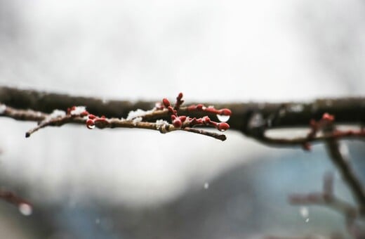 Νέα μεταβολή του καιρού με «λασποβροχές, χιόνια και 20άρια» - Καταιγίδες εκ νέου στην Αττική