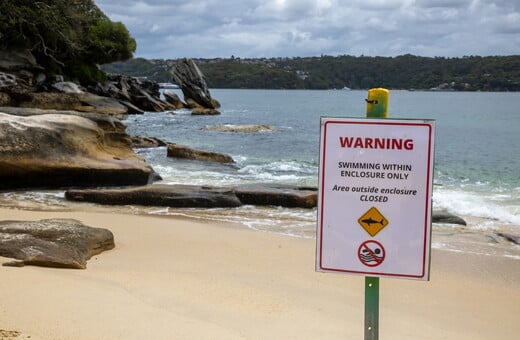 ΑΥΣΤΡΑΛΙΑ ΕΠΙΘΕΣΗ ΚΑΡΧΑΡΙΑ ΝΕΚΡΟΣ 12ΧΡΟΝΟΣ