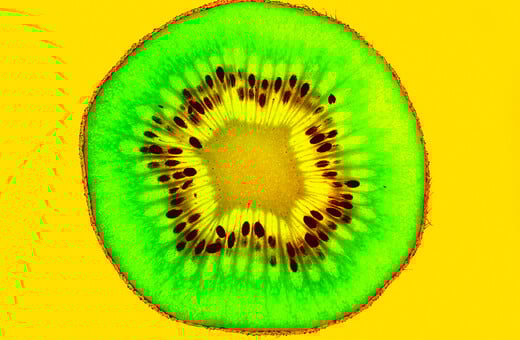 «Οι καταναλωτές δεν θα γνωρίζουν τι τρώνε και οι αγρότες τι καλλιεργούν»