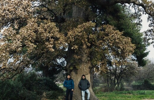 Οι Φίλοι της Βελανιδιάς θέλουν να σώσουν ένα πανάρχαιο δέντρο