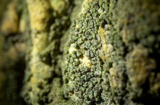 ΣΠΗΛΑΙΟ ΑΝΑΚΑΛΥΨΗ ΕΠΙΣΤΗΜΟΝΕΣ