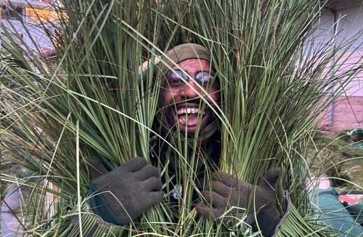 BAD BUNNY ΘΑΜΝΟΙ SUPER BOWL ΧΡΗΜΑΤΑ