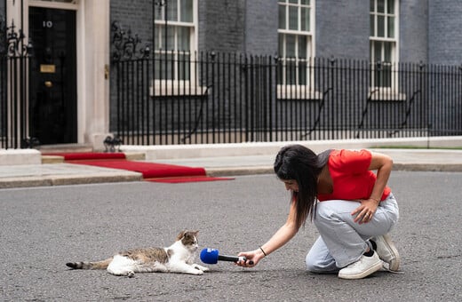ΒΡΕΤΑΝΙΑ ΓΑΤΟΣ ΛΑΡΙ ΝΤΑΟΥΝΙΝΓΚ ΣΤΡΙΤ