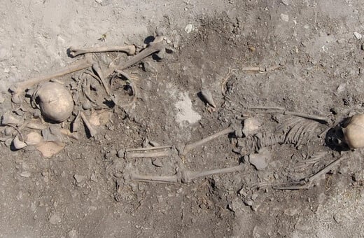 ΛΙΘΙΝΗ ΕΠΟΧΗ ΣΟΥΗΔΙΑ ΟΙΚΟΓΕΝΕΙΑ