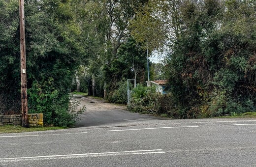 ΦΟΙΝΙΚΟΥΝΤΑ ΔΟΛΟΦΟΝΙΑ ΚΑΜΠΙΝΓΚ