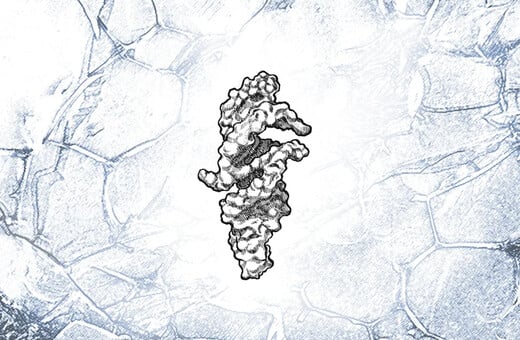 RNA DNA ΑΝΘΡΩΠΙΝΗ ΖΩΗ CAMBRIDGE