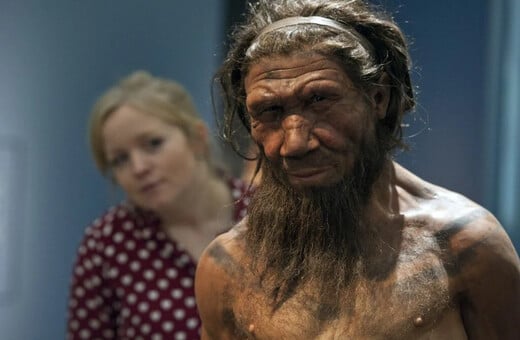ΝΕΑΝΤΕΡΝΤΑΛ HOMO SAPIENS