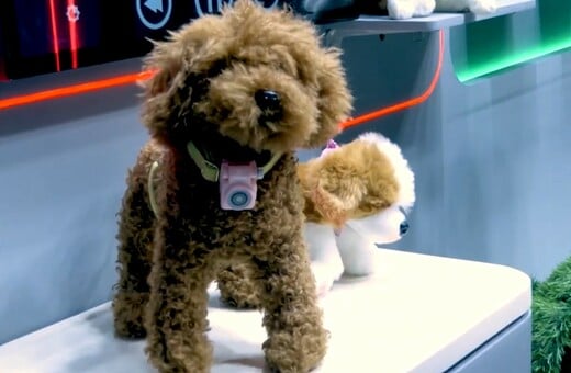 PETPHONE SMARTPHONE ΚΑΤΟΙΚΙΔΙΟ