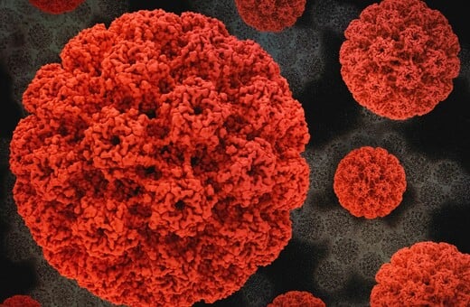 HPV ΙΟΣ ΑΝΘΡΩΠΙΝΩΝ ΘΗΛΩΜΑΤΩΝ ΕΜΒΟΛΙΟ