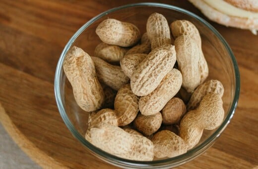 ΕΡΕΥΝΑ ΦΙΣΤΙΚΙΑ ΑΛΛΕΡΓΙΑ 