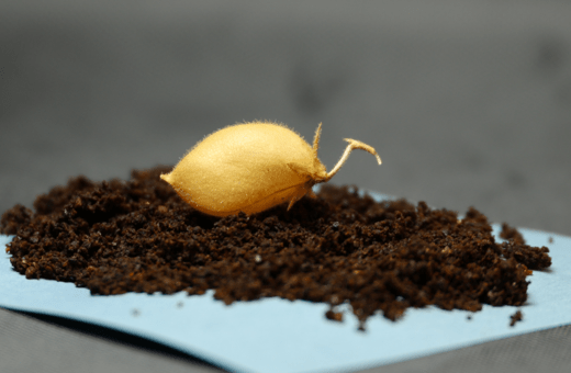 ΣΕΛΗΝΗ ΦΕΓΓΑΡΙ ΡΕΒΙΘΙΑ