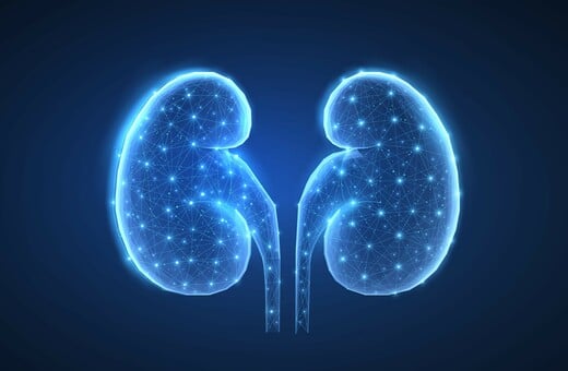 Παγκόσμια Ημέρα Νεφρού 