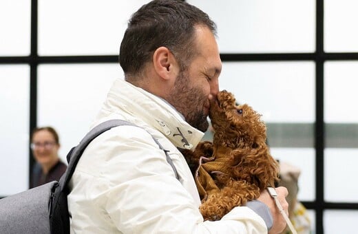 Τα κατοικίδια που μένουν πίσω όταν οι άνθρωποι φεύγουν από τη Μέση Ανατολή