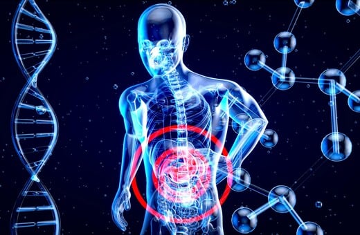 ΕΝΤΕΡΟ ΑΓΧΟΣ ΣΤΡΕΣ ΜΕΛΕΤΗ