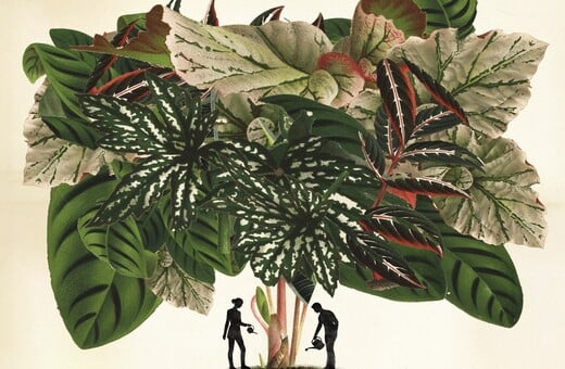 Φτιάξαμε ινσταγκραμικούς κήπους. Ξοδέψαμε περιουσίες. Τώρα μαράθηκαν όλα.