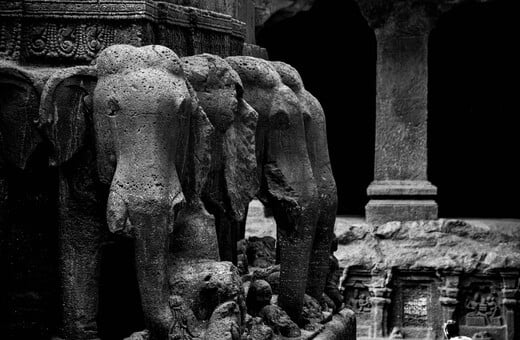 ΝΕΑΝΤΕΡΝΤΑΛ ΕΛΕΦΑΝΤΕΣ ΚΥΝΗΓΙ ΕΡΕΥΝΑ