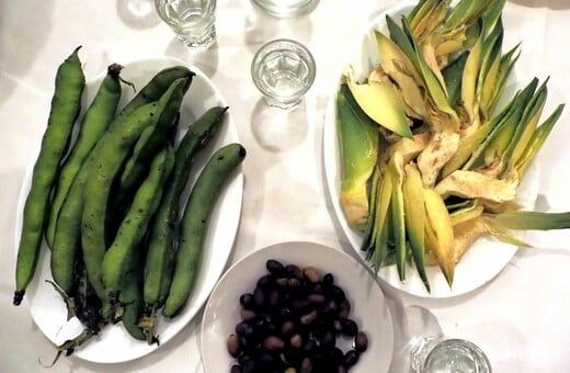 Η ρακή αγαπά τις τρυφερές καρδιές των κήπων